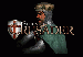 twierdzacrusader.gif